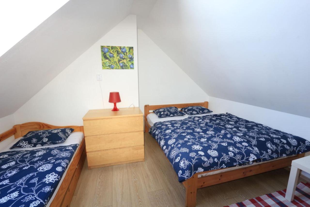 Apartmany Fox Boží Dar エクステリア 写真