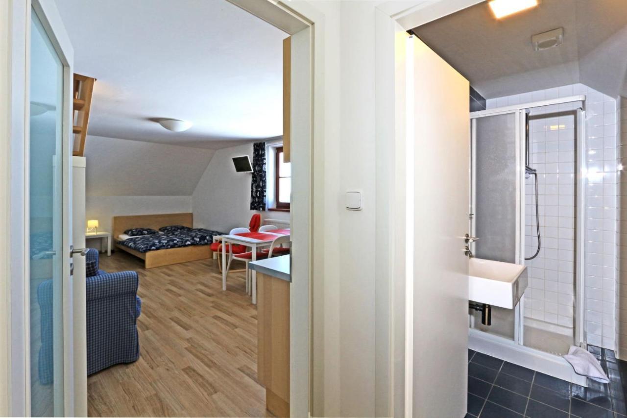 Apartmany Fox Boží Dar エクステリア 写真